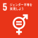 sdgs5 